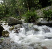 Washpool National Park - Nambucca Heads Accommodation