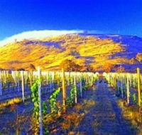 Surveyors Hill Winery - Nambucca Heads Accommodation