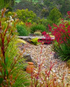 Ungulla Country Garden - Nambucca Heads Accommodation 1