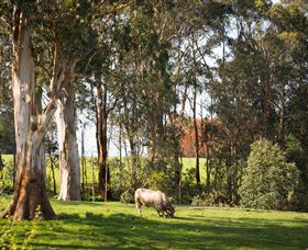 Ungulla Country Garden - Nambucca Heads Accommodation 8