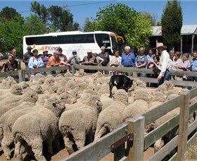Canberra And Surrounds ACT Nambucca Heads Accommodation