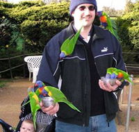 Canberra Walk In Aviary - Nambucca Heads Accommodation