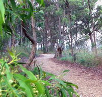 Mount Mutton Walking Trail - Nambucca Heads Accommodation
