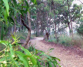 Mount Mutton Walking Trail - Nambucca Heads Accommodation 0
