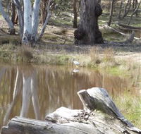 Mulligans Flat - Nambucca Heads Accommodation