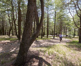 The National Arboretum Canberra - Nambucca Heads Accommodation 3