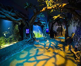 SEA LIFE Sydney Aquarium - Nambucca Heads Accommodation 2