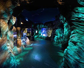 SEA LIFE Sydney Aquarium - Nambucca Heads Accommodation 3