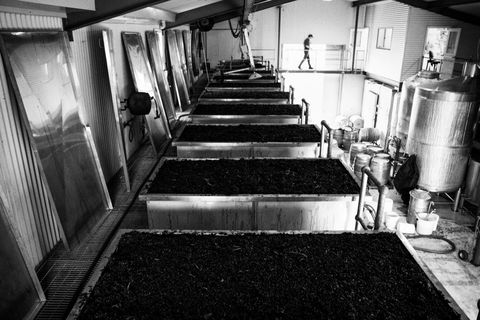 Clonakilla Wines - Nambucca Heads Accommodation 9