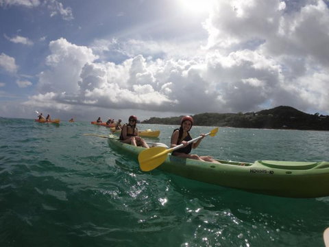 Cape Byron Kayaks - Nambucca Heads Accommodation 3