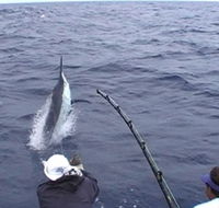 Amokura Charters - Nambucca Heads Accommodation