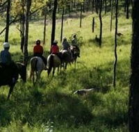 Hunter Valley Horse Riding and Adventures - Nambucca Heads Accommodation