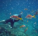 Imagine Cruises - Nambucca Heads Accommodation