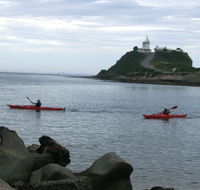 Newcastle Kayak Tours - Nambucca Heads Accommodation