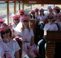 Newcastles Famous Tram - Nambucca Heads Accommodation