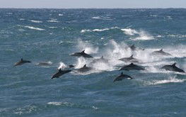  Nambucca Heads Accommodation