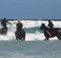 Pegasus Park Equestrian Centre - Nambucca Heads Accommodation