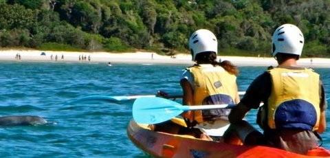 Go Sea Kayak - Nambucca Heads Accommodation 2