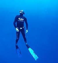 Byron Bay Dive Centre - Nambucca Heads Accommodation 1