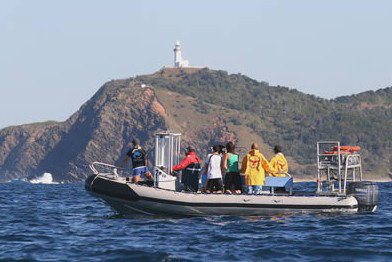 Byron Bay Dolphin Wildlife Tours - Nambucca Heads Accommodation 1
