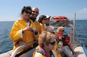 Byron Bay Dolphin Wildlife Tours - Nambucca Heads Accommodation 2