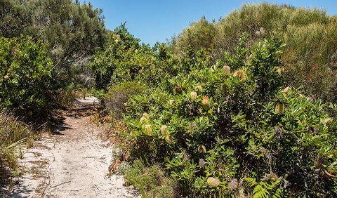 Henry Head Walking Track - Nambucca Heads Accommodation 0