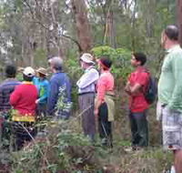 Boronia Tours - Nambucca Heads Accommodation