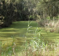 Second Ponds Creek walk - Nambucca Heads Accommodation