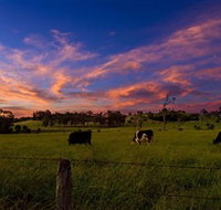 Made in Macarthur Food and Wine Tours - Nambucca Heads Accommodation