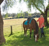 Sugarloaf Horse Centre - Nambucca Heads Accommodation