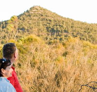 Piles Creek loop - Nambucca Heads Accommodation