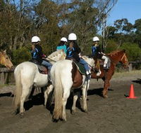 Darkes Forest Riding Ranch - Nambucca Heads Accommodation