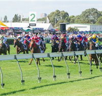 Morphettville Racecourse - Nambucca Heads Accommodation