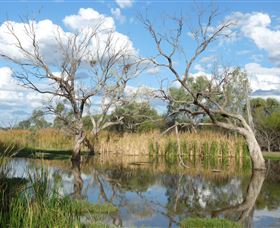 Lagoon Creek - Nambucca Heads Accommodation 0