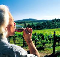 Ashton Hills Vineyard - Nambucca Heads Accommodation