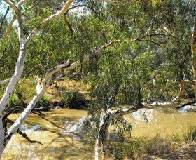 Quilberry Creek Fishing - Nambucca Heads Accommodation 0