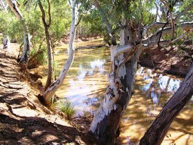 Quilberry Creek Fishing - Nambucca Heads Accommodation 1