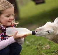 Hahndorf Farm Barn - Nambucca Heads Accommodation