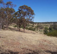 Onkaparinga River National Park - Nambucca Heads Accommodation