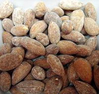 Almondco Almond Hut - Nambucca Heads Accommodation