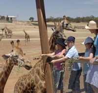 Monarto Open Range Zoo - Nambucca Heads Accommodation