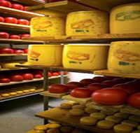 Alexandrina Cheese Company - Nambucca Heads Accommodation