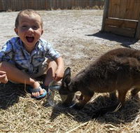 Animal Farm Goolwa - Nambucca Heads Accommodation