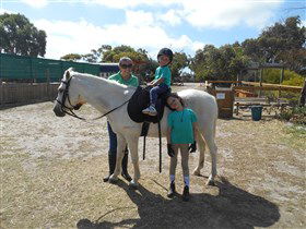 Animal Farm Goolwa - Nambucca Heads Accommodation 2