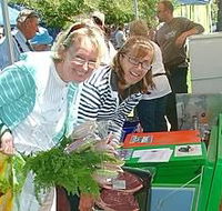 Victor Harbor Farmers Market - Nambucca Heads Accommodation
