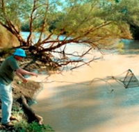 Charleville - Ward River Fishing Spot - Nambucca Heads Accommodation