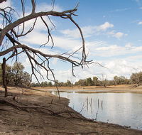 Toorale National Park - Nambucca Heads Accommodation