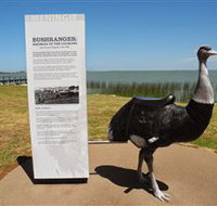 Birdman of the Coorong - Nambucca Heads Accommodation