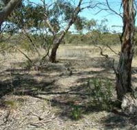 Tintinara Walking Trail - Nambucca Heads Accommodation