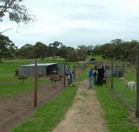Avenue Emus - Nambucca Heads Accommodation
